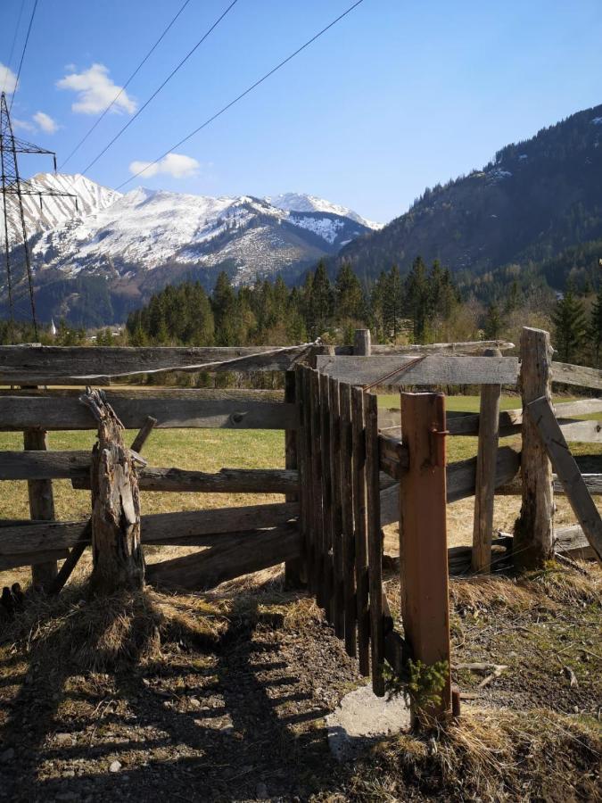 Ferienwohnungen Haus Almrausch Bichlbach Exteriör bild