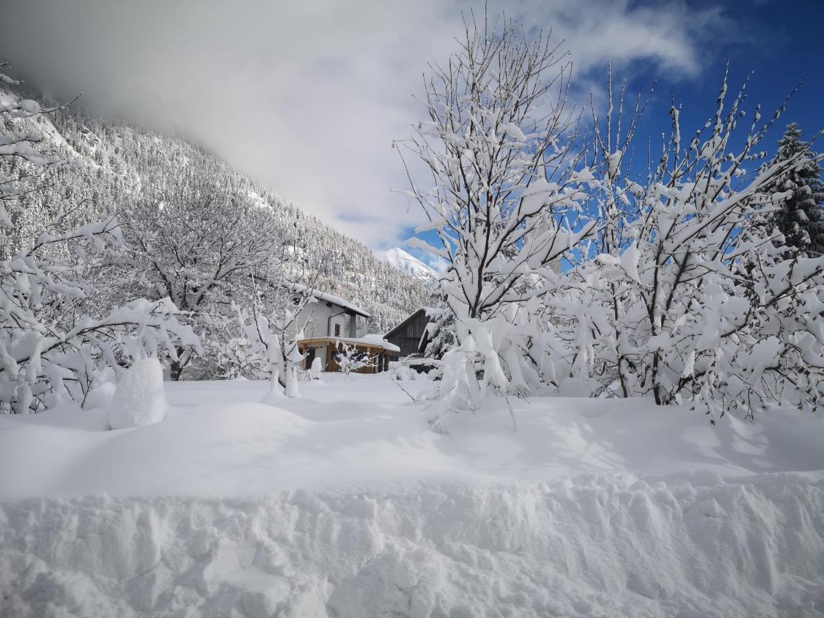 Ferienwohnungen Haus Almrausch Bichlbach Exteriör bild